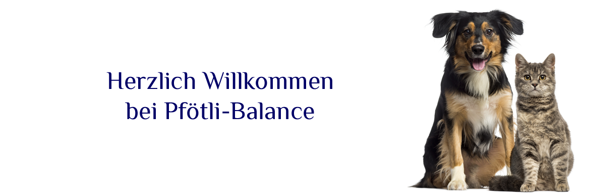 Pfötli Balance - Gesundes für Hunde und Katzen
